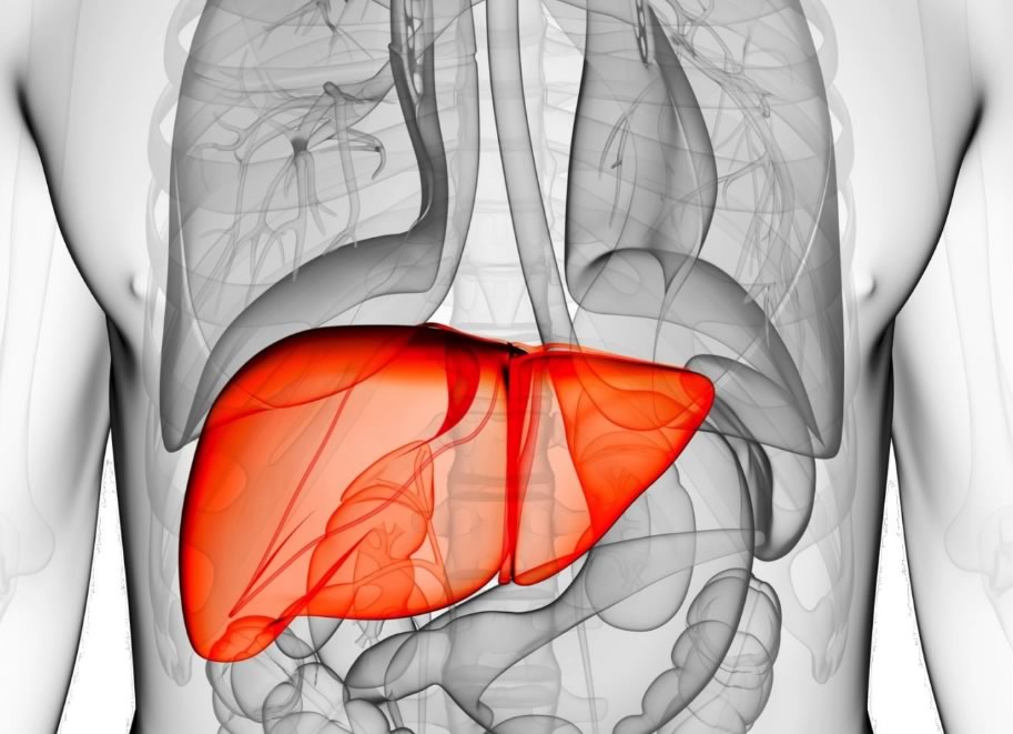 Understanding How to Live a Healthy Life Through Liver Detoxification