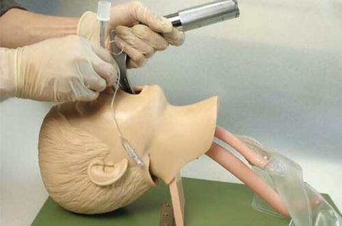 Child_Trachea_Intubation_Model_AR-1A_ARI__00439.1588706002.jpg